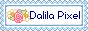 Dalila Pixels